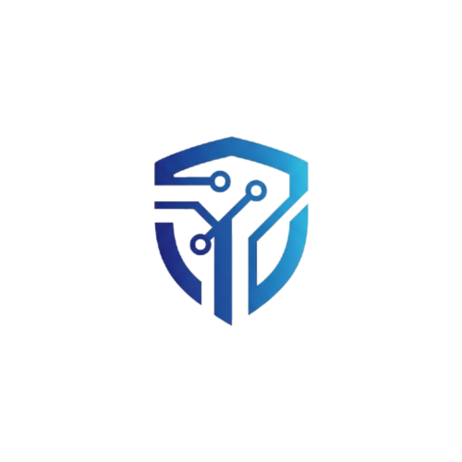 FortLink Systems Logo